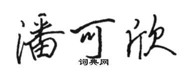 駱恆光潘可欣行書個性簽名怎么寫