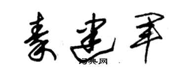 朱錫榮秦建軍草書個性簽名怎么寫