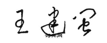 駱恆光王建閩草書個性簽名怎么寫