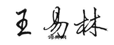 駱恆光王易林行書個性簽名怎么寫