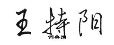 駱恆光王特陽行書個性簽名怎么寫