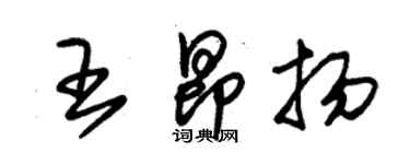 朱錫榮王昂揚草書個性簽名怎么寫