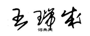 朱錫榮王瑞成草書個性簽名怎么寫