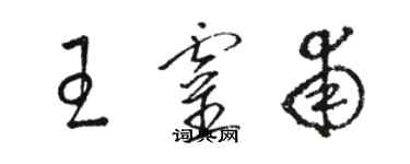 駱恆光王靈甫草書個性簽名怎么寫