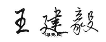 駱恆光王建毅行書個性簽名怎么寫