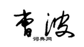 朱錫榮曹波草書個性簽名怎么寫