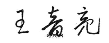 駱恆光王音亮草書個性簽名怎么寫