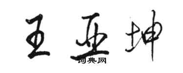 駱恆光王亞坤行書個性簽名怎么寫