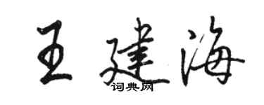 駱恆光王建海行書個性簽名怎么寫