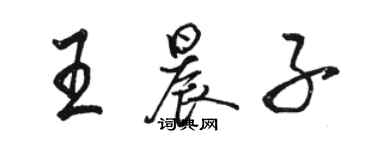 駱恆光王晨子行書個性簽名怎么寫