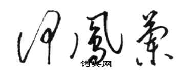 駱恆光何鳳蘭草書個性簽名怎么寫