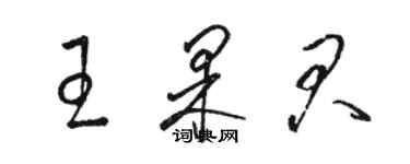 駱恆光王果君草書個性簽名怎么寫