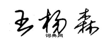 朱錫榮王楊森草書個性簽名怎么寫