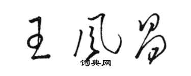 駱恆光王風昌草書個性簽名怎么寫