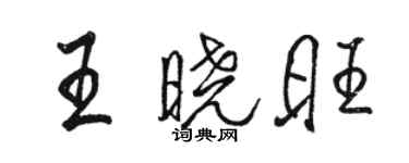 駱恆光王曉旺行書個性簽名怎么寫