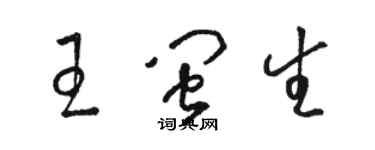 駱恆光王閩生草書個性簽名怎么寫