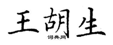 丁謙王胡生楷書個性簽名怎么寫