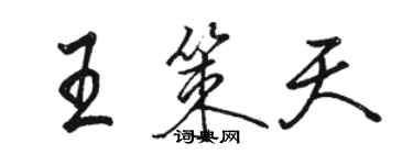 駱恆光王策天行書個性簽名怎么寫