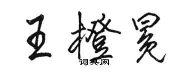 駱恆光王橙冕行書個性簽名怎么寫