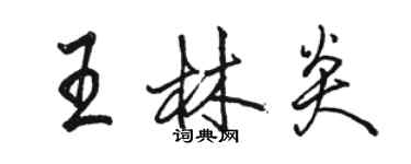 駱恆光王林炎行書個性簽名怎么寫