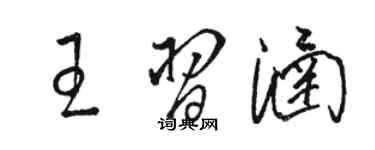 駱恆光王習涵草書個性簽名怎么寫