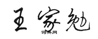 駱恆光王家勉行書個性簽名怎么寫