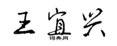 曾慶福王宜興行書個性簽名怎么寫