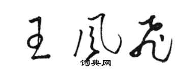 駱恆光王風飛草書個性簽名怎么寫