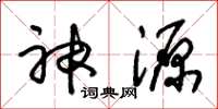 朱錫榮神源草書怎么寫