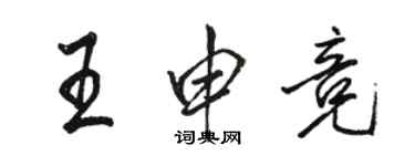 駱恆光王申競行書個性簽名怎么寫