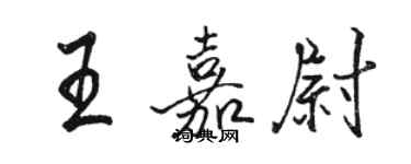 駱恆光王嘉尉行書個性簽名怎么寫