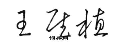 駱恆光王慰植草書個性簽名怎么寫