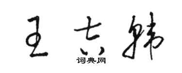 駱恆光王吉韓草書個性簽名怎么寫