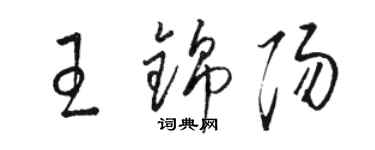 駱恆光王錦陽草書個性簽名怎么寫