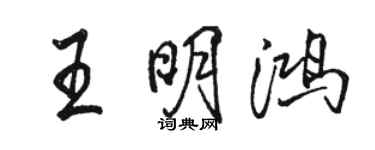 駱恆光王明鴻行書個性簽名怎么寫
