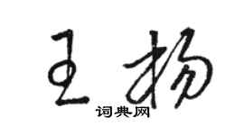 駱恆光王楊草書個性簽名怎么寫