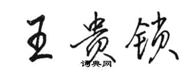 駱恆光王貴鎖行書個性簽名怎么寫