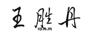 駱恆光王勝丹行書個性簽名怎么寫