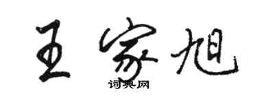 駱恆光王家旭行書個性簽名怎么寫