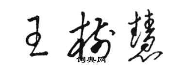 駱恆光王樹慧草書個性簽名怎么寫