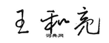 駱恆光王和亮草書個性簽名怎么寫