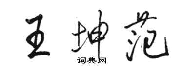 駱恆光王坤範行書個性簽名怎么寫