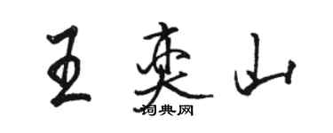 駱恆光王奕山行書個性簽名怎么寫