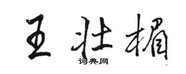 駱恆光王壯楣行書個性簽名怎么寫