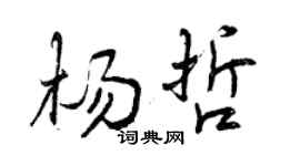 曾慶福楊哲行書個性簽名怎么寫