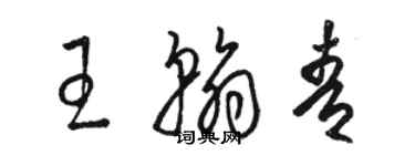 駱恆光王翰青草書個性簽名怎么寫