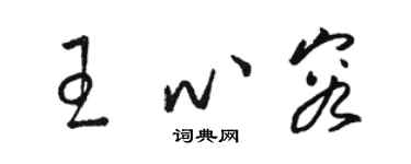 駱恆光王心容草書個性簽名怎么寫