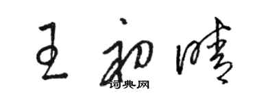 駱恆光王初晴草書個性簽名怎么寫