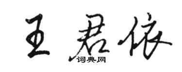 駱恆光王君依行書個性簽名怎么寫