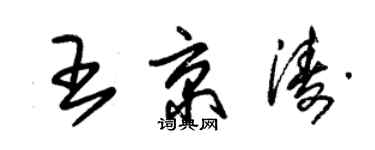朱錫榮王京濤草書個性簽名怎么寫